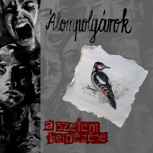 A Fejszög Visszaüt