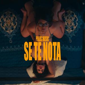 SE TE NOTA