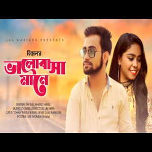 ভালোবাসা মানে