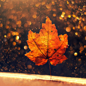 原点(夜雨幽寒/柚子echo)