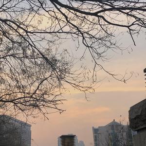 你怎么蠢到我喜欢你都不知道