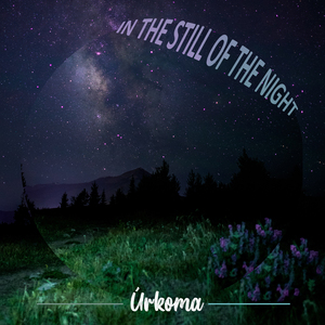 In The Still Of The Night