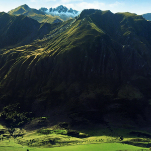 爱与真诚更胜一筹