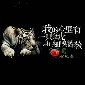 死在江南烟雨中