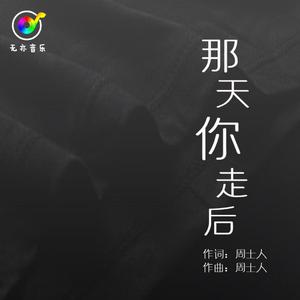那天你走后
