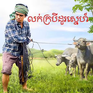 លក់ក្របីដូរស្នេហ៍