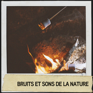 ciel de bois brûlant