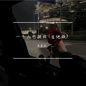一个人也挺好(吉他版)