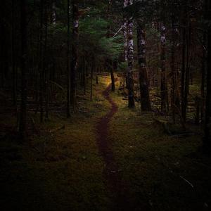 Goddess Of The Summit