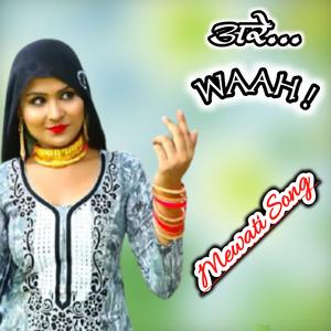 Are Waah (feat. Sahin Chanchal Mewati)