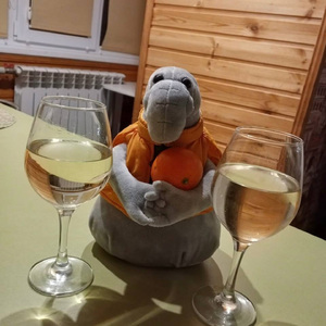 Белгород наших встреч