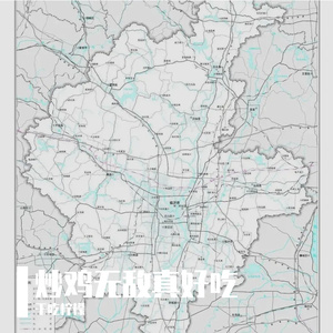 俺在临沂鬼探头