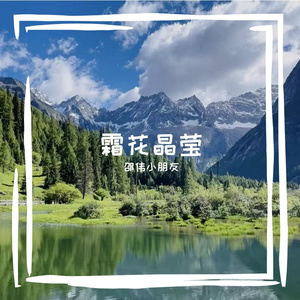 霜花晶莹