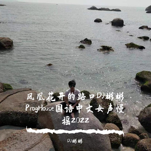 kk-凤凰花开的路口（dj彬彬ProgHouse国语女声）（DJ彬彬 remix）