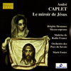 Brigitte Desnoues - Le miroir de Jesus, mysteres du Rosaire:Miroir de gloire: Assomption