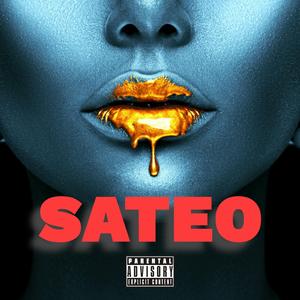 Sateo (feat. Karmoney47)