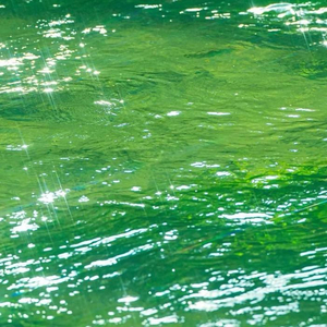 My Love Mine All Mine