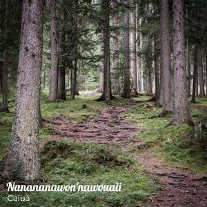 Nanananawon'nawouaii(remasterizada) (Remastered)