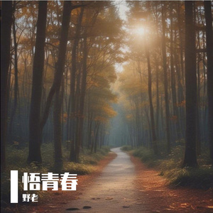 悟青春