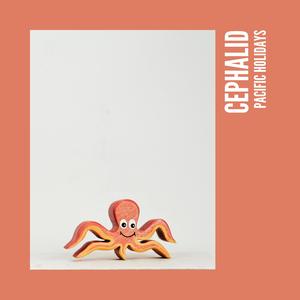 Cephalid