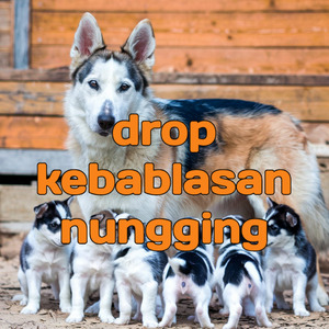 drop kebablasan nungging (Remastered 2024)