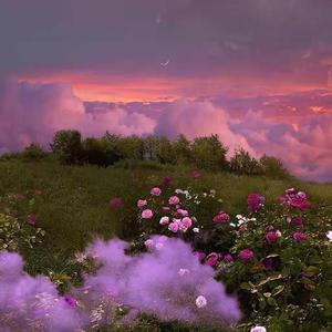 送你的小情歌-001