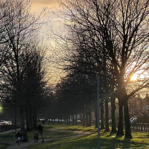 It such a lonely Christmas