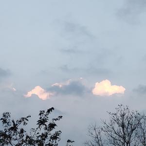 收不到你的信号