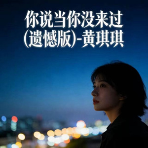 你说当你没来过 (烟嗓版)