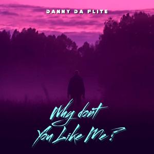 Why Dont You Like Me