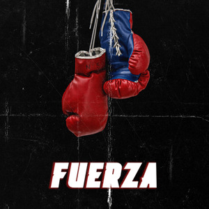 Fuerza