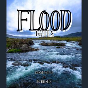 Enter my Dreams (feat. BURRAHZ)