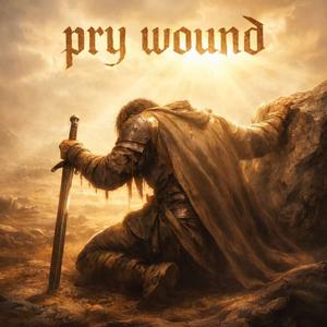 pry wound（prod by undislove）
