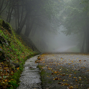 贾国平 《于无声处》 JIA Guoping Wo kein Klang ist