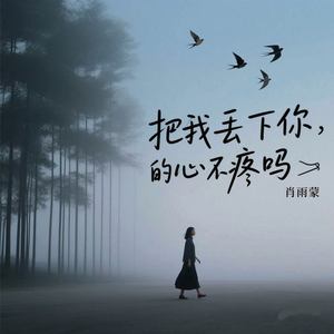 把我丢下你的心不疼吗