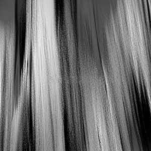 APPLE BOTTOM JEANS (Cover)