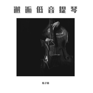 舒伯特小夜曲（低音提琴版）