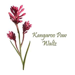 Kangaroo Paw Waltz