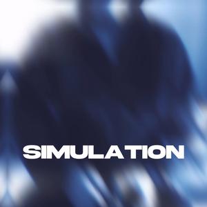 Simulation