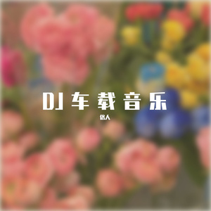 不甘dj车载