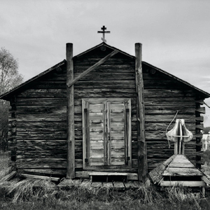 Marryin' Kind (Hickory Tree)