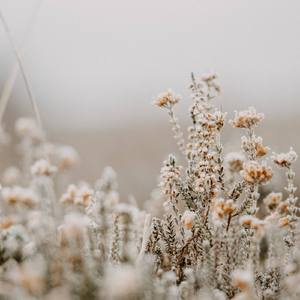 Slumbers (Original Mix)