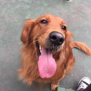 TG-遇见（遇见 Remix）