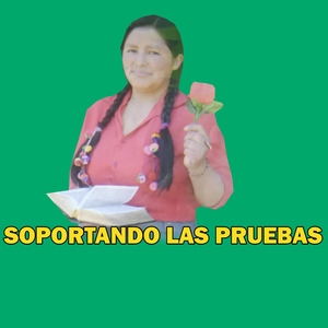 SOPORTANDO LAS PRUEBAS