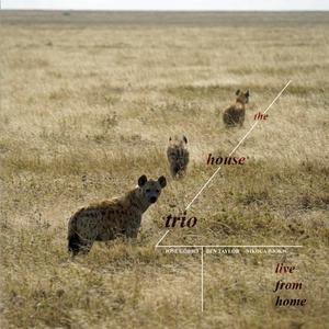 Father's Day (feat. José Emilio Gobbo Jr., Ben Taylor & Nikola Djokic) (Live)