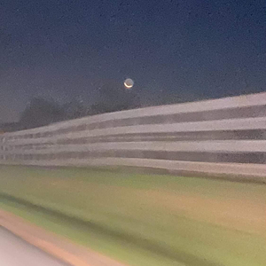 Ramblings of a Madman