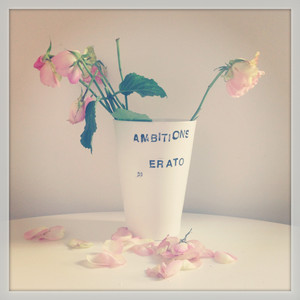 Ambitions