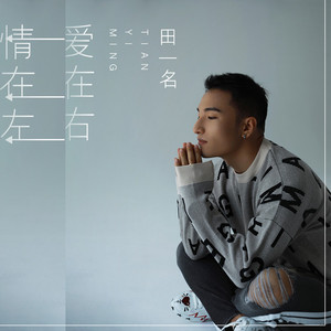 爱在右情在左(DJ版)