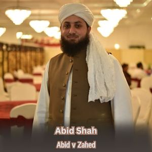 Abid v Zahed