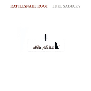 Rattlesnake Root (feat. Johnny Staats)